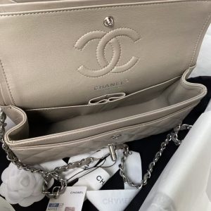 Chanel Small Classic Handbag Silver Hardware