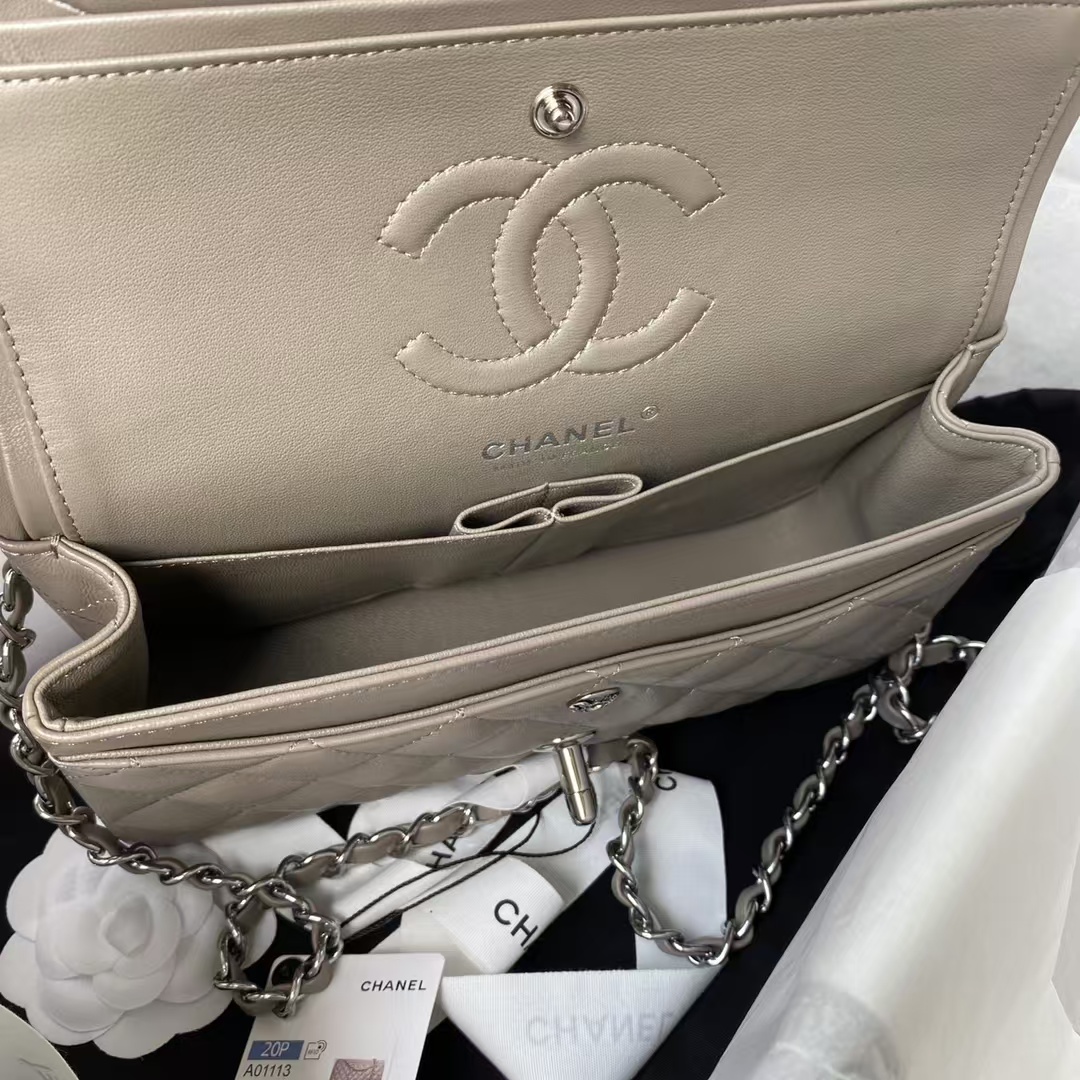 Chanel Small Classic Handbag Silver Hardware