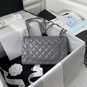 Chanel Small Classic Handbag Silver Hardware