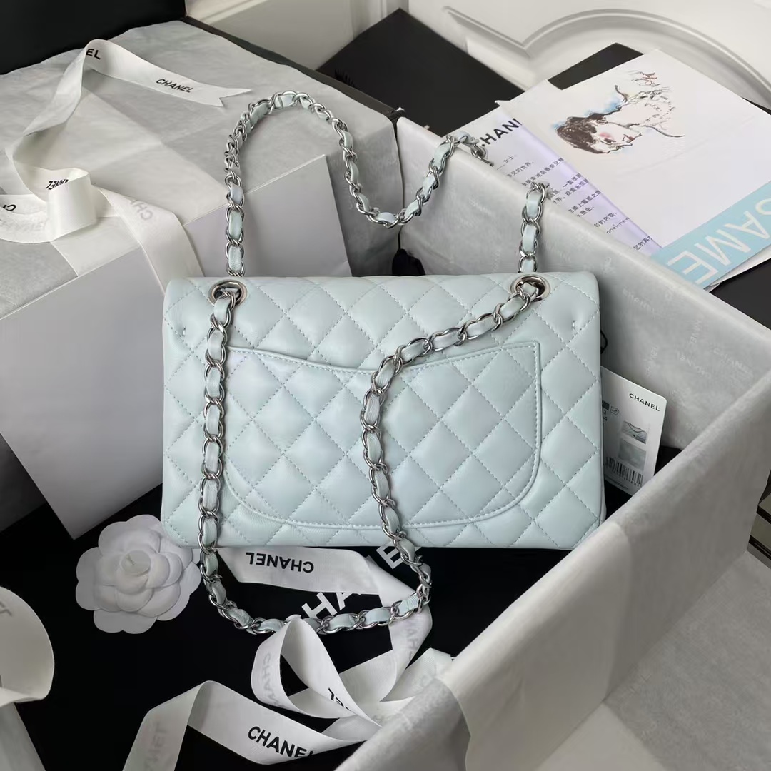 Chanel Small Classic Handbag Silver Hardware - Image 4