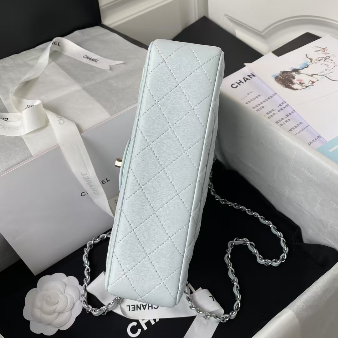 Chanel Small Classic Handbag Silver Hardware - Image 5