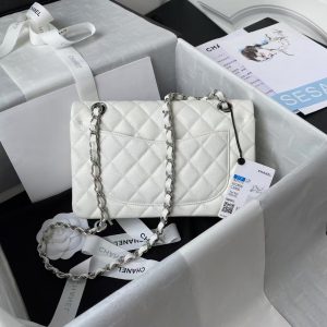 Chanel Small Classic Handbag Caviar Silver Hardware