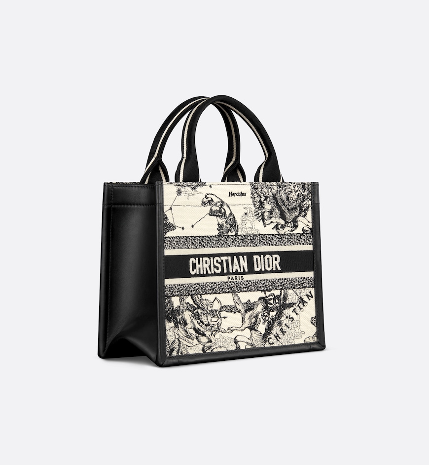 Dior Small Dior Book Tote 26.5 CM