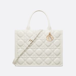 Dior Medium Dior Book Tote HandBags