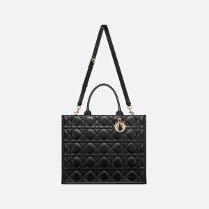 Dior Large Dior Book Tote HandBags