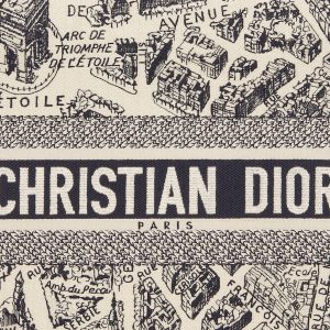 Dior Medium Dior Book Tote 36 CM