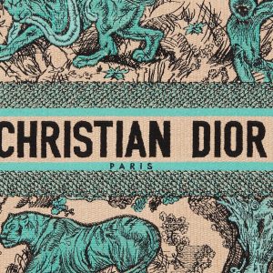 Dior Medium Dioriviera Dior Book Tote 36 CM