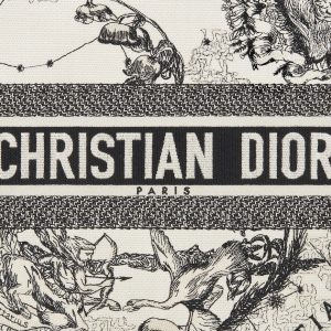 Dior Large Dior Book Tote 42CM