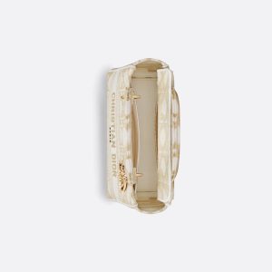 Dior Medium Lady D-Lite Bag