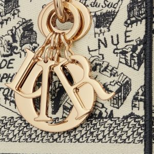 Dior Medium Lady D-Lite Bag