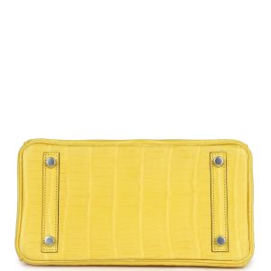 Hermes Birkin 25 Mimosa Matte Niloticus Crocodile Palladium Hardware