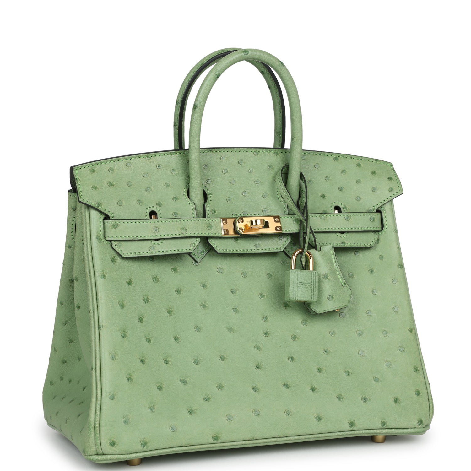 Hermes Birkin 25 Vert Criquet Ostrich Gold Hardware - Image 5