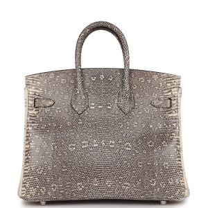 Hermes Birkin 25 Ombre Varanus Salvator Lizard Palladium Hardware