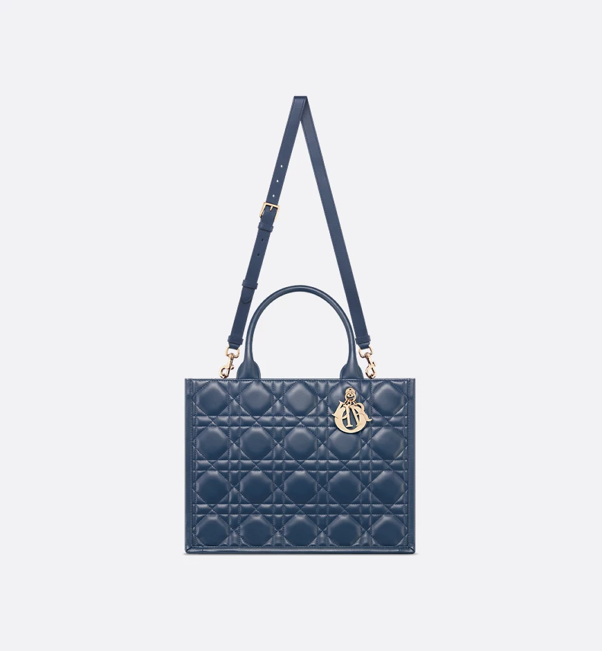 Dior Medium Dior Book Tote HandBags
