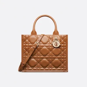 Dior Small Dior Book Tote HandBags