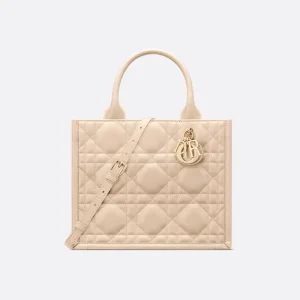 Dior Small Dior Book Tote HandBags