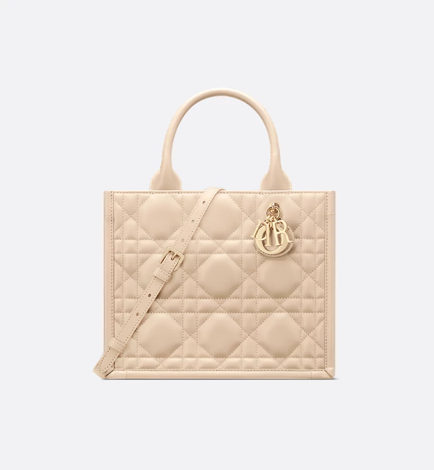 Dior Small Dior Book Tote HandBags