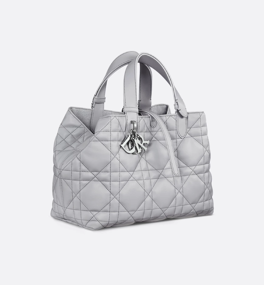 Dior Medium Dior Toujours Bag HandBags