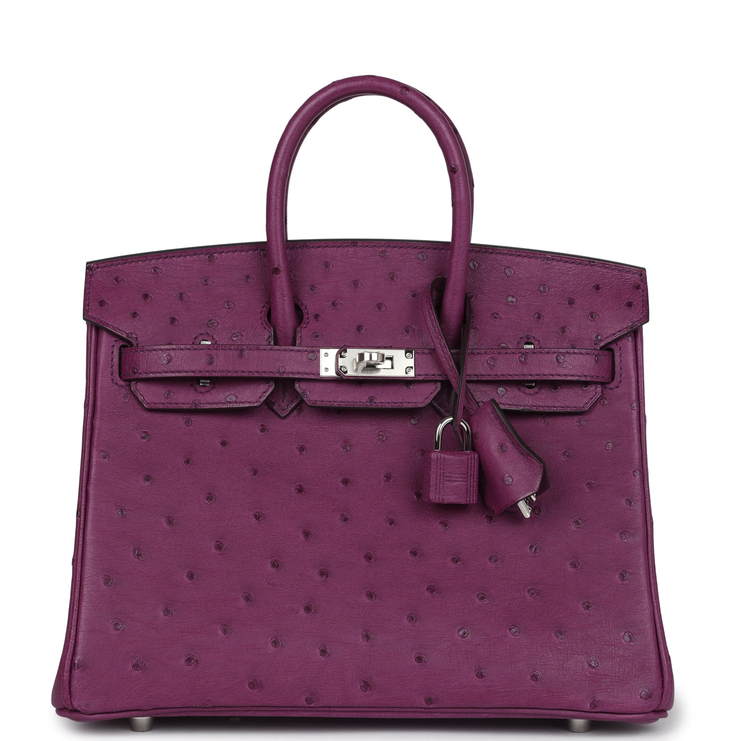 Hermes Birkin 25 Anemone Ostrich Palladium Hardware - Image 3
