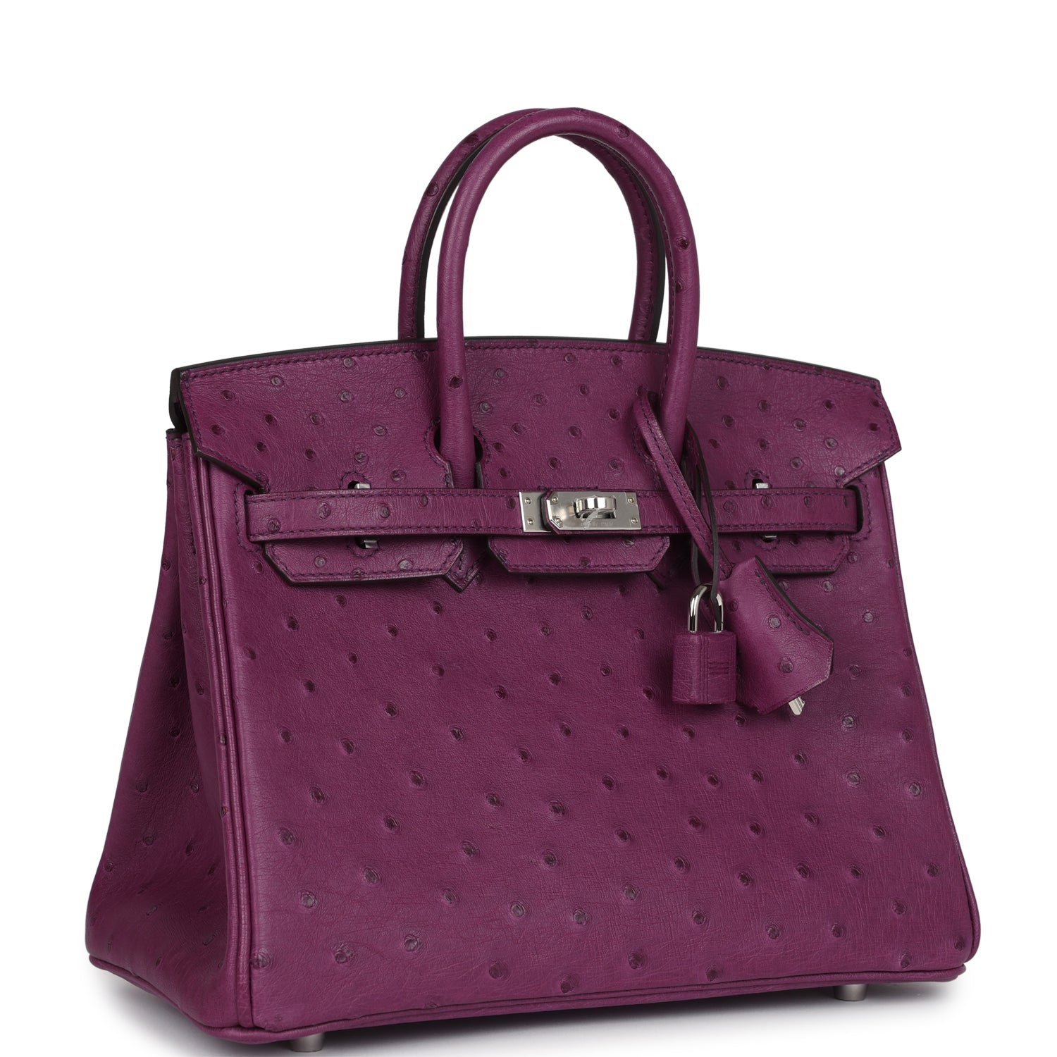 Hermes Birkin 25 Anemone Ostrich Palladium Hardware - Image 6