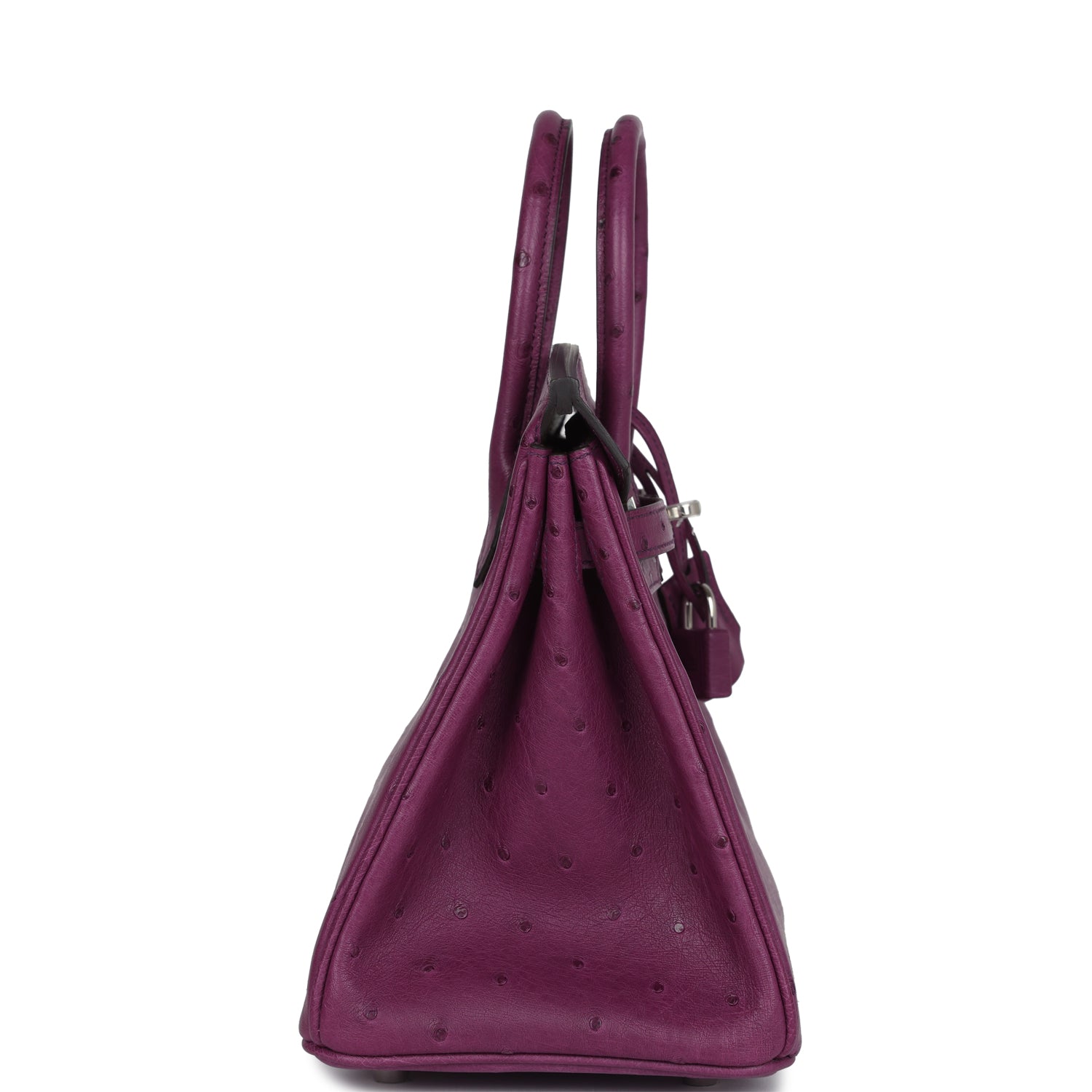 Hermes Birkin 25 Anemone Ostrich Palladium Hardware - Image 5