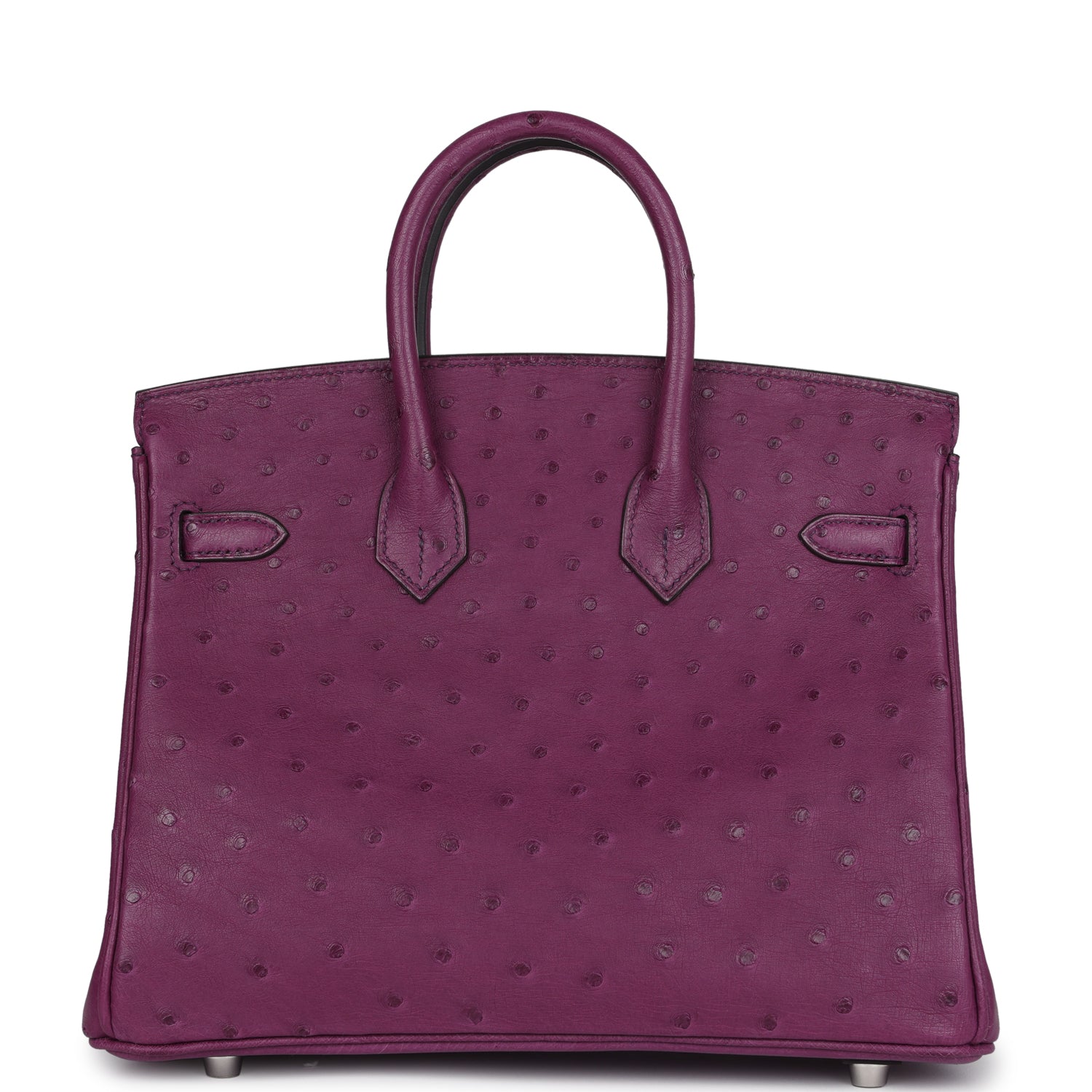 Hermes Birkin 25 Anemone Ostrich Palladium Hardware - Image 8