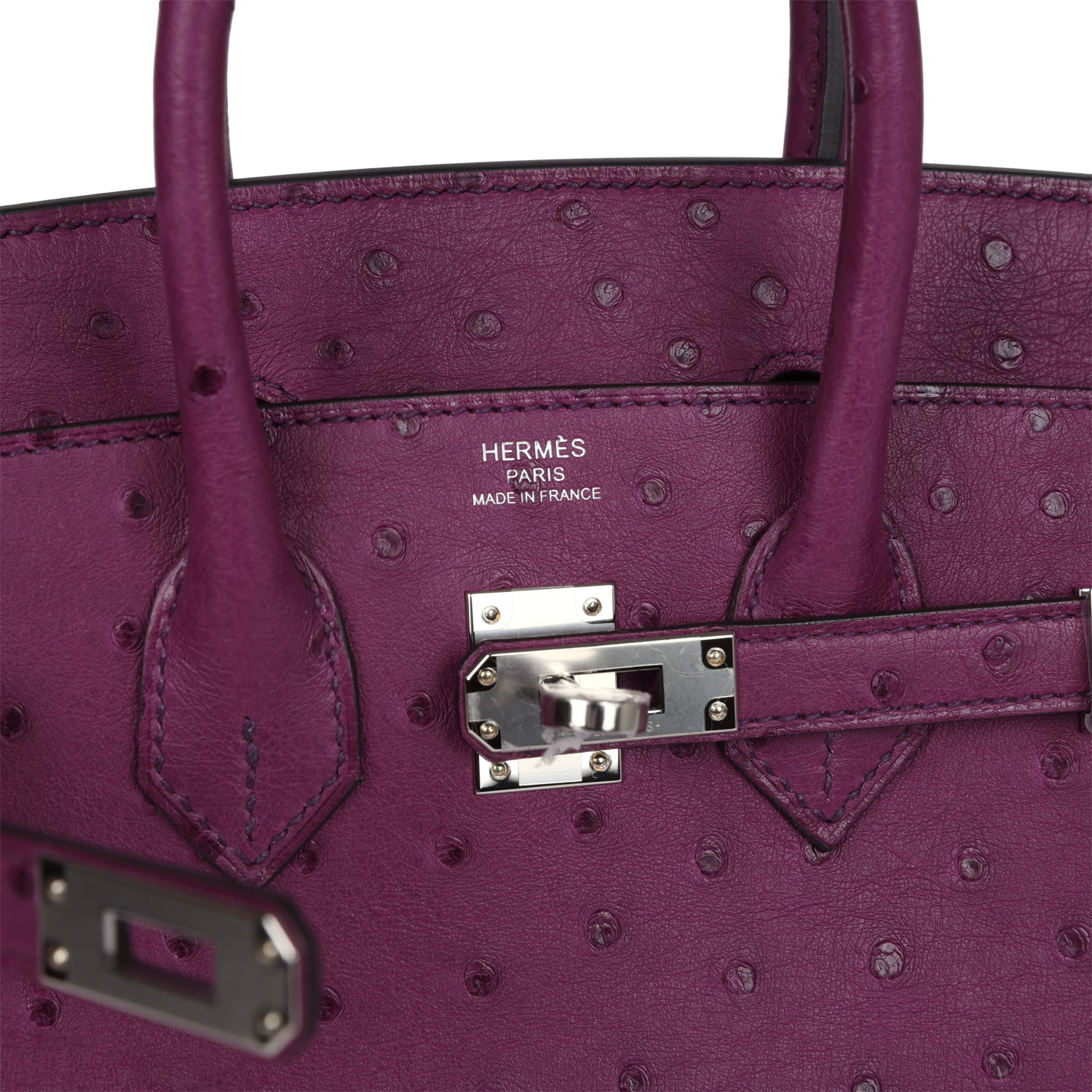 Hermes Birkin 25 Anemone Ostrich Palladium Hardware - Image 7