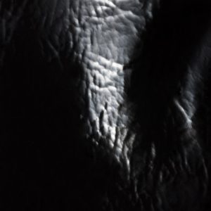 IVY naplak patent leather bag