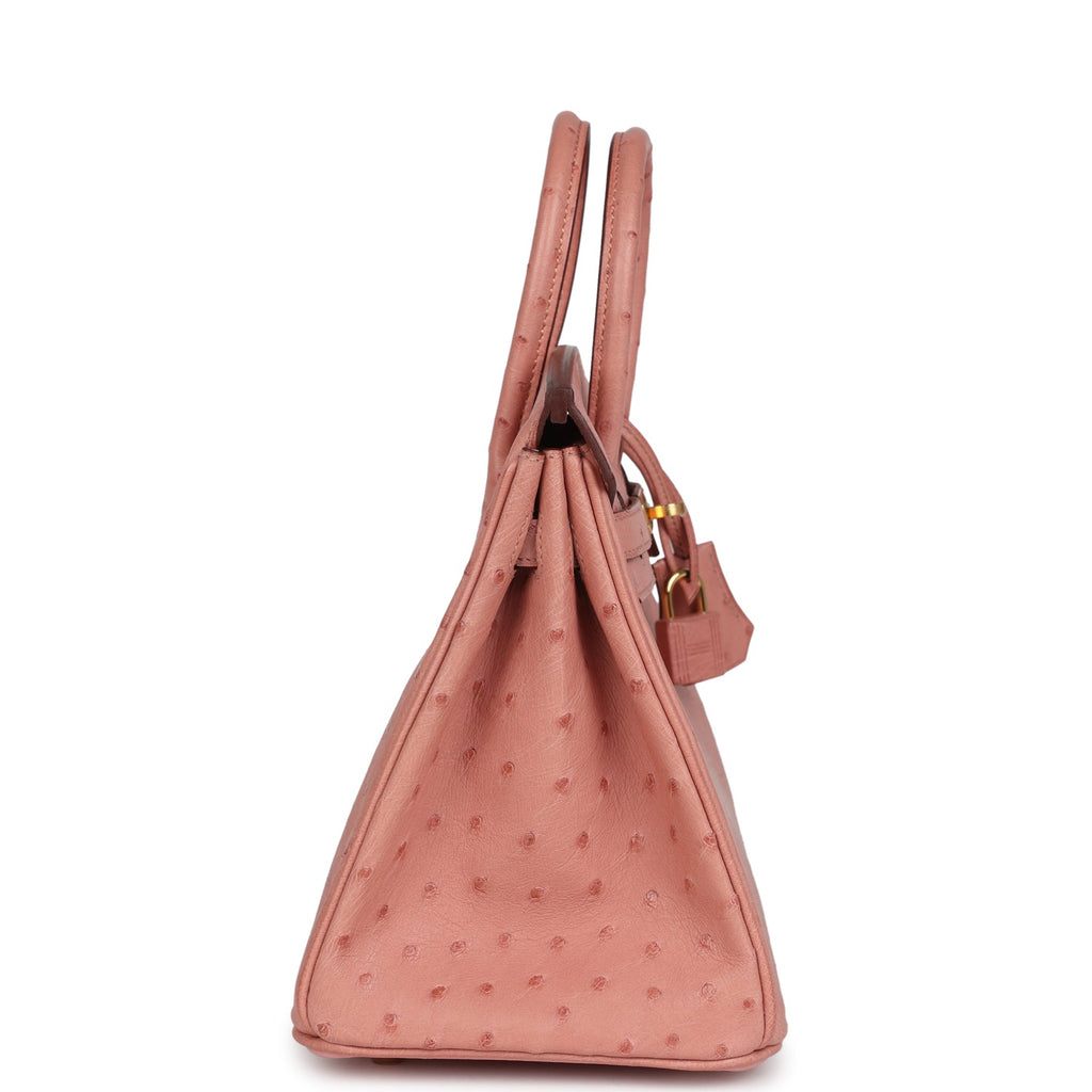 Hermes Birkin 25 Terre Cuite Ostrich Gold Hardware - Image 2