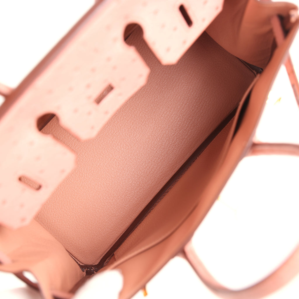 Hermes Birkin 25 Terre Cuite Ostrich Gold Hardware - Image 6