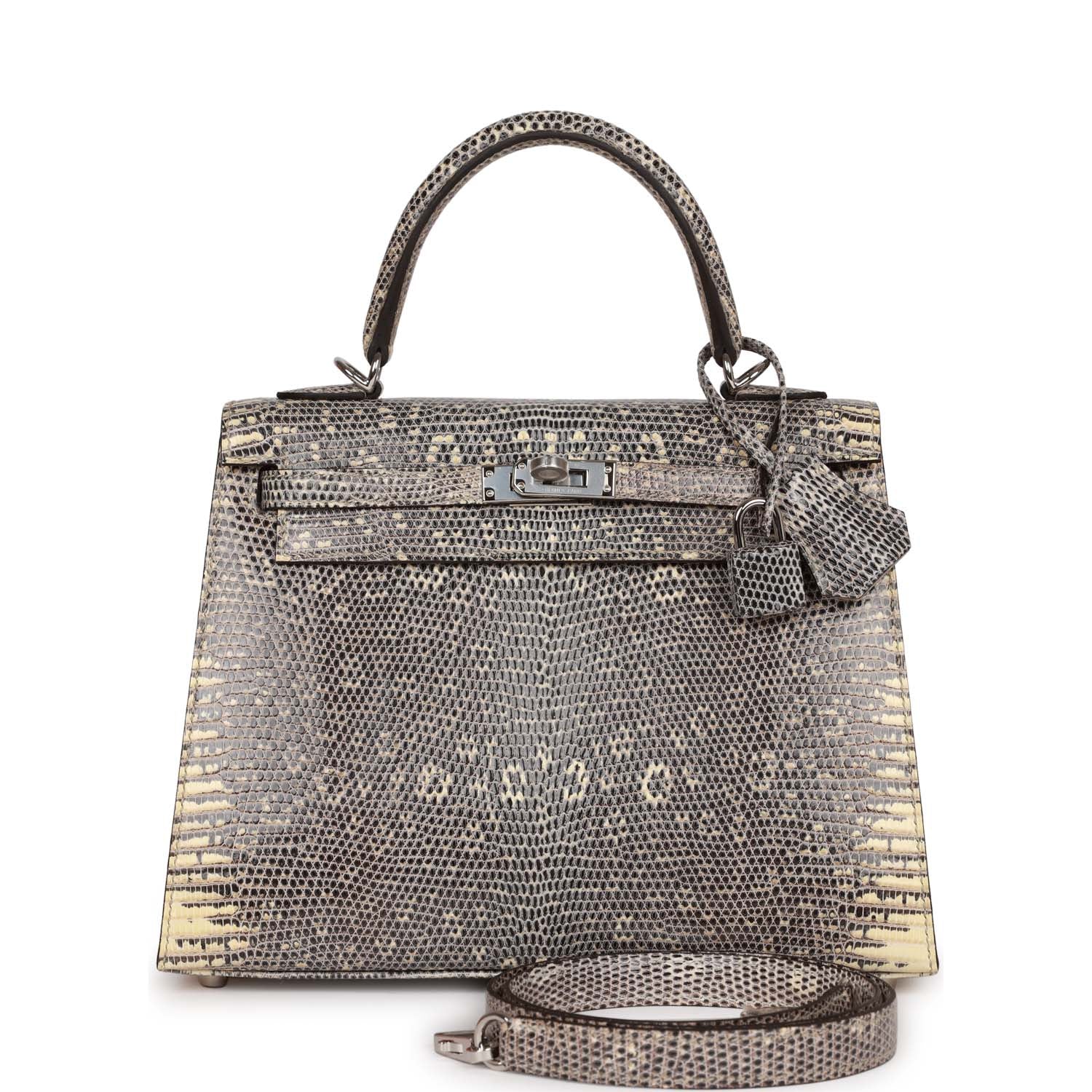 Hermes Kelly Sellier 25 Ombre Varanus Salvator Lizard Palladium Hardware - Image 6