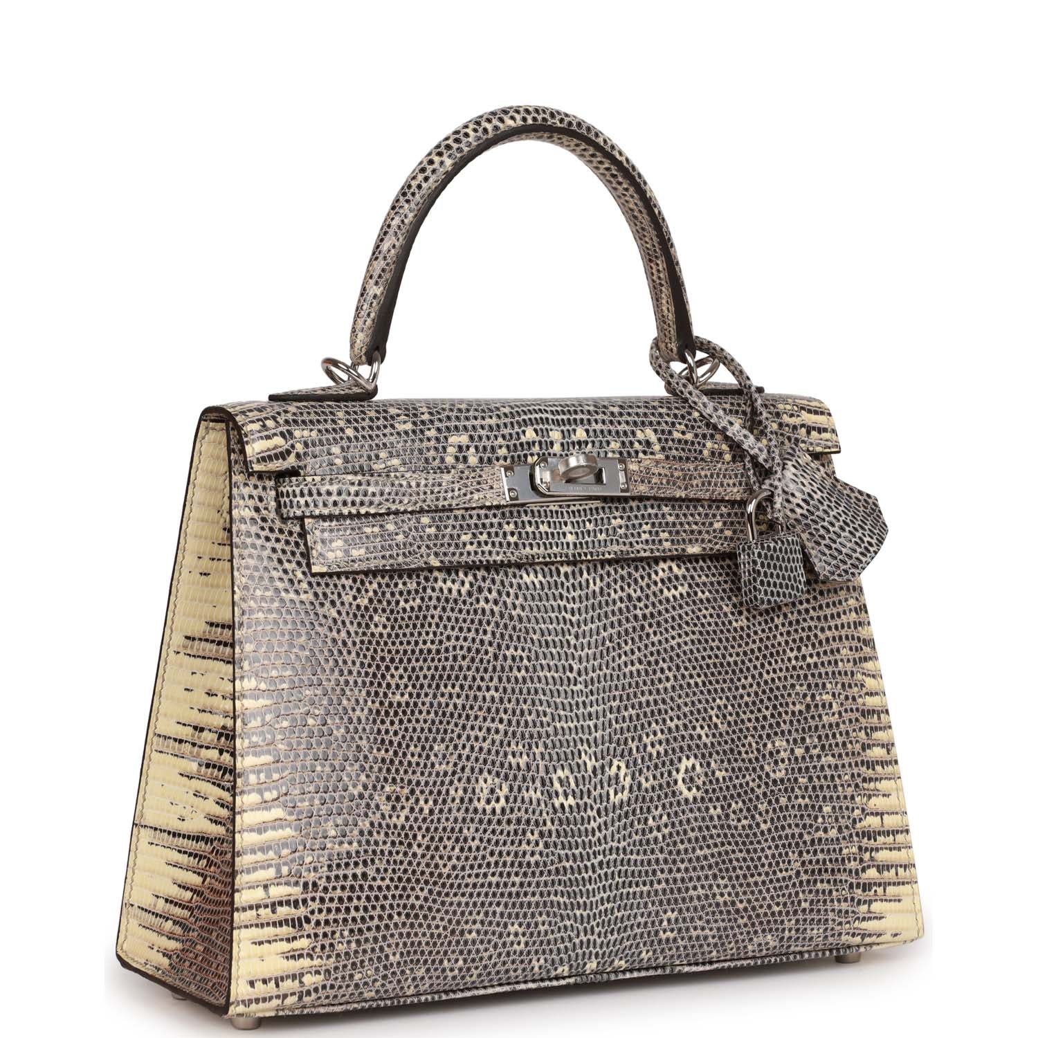 Hermes Kelly Sellier 25 Ombre Varanus Salvator Lizard Palladium Hardware - Image 3