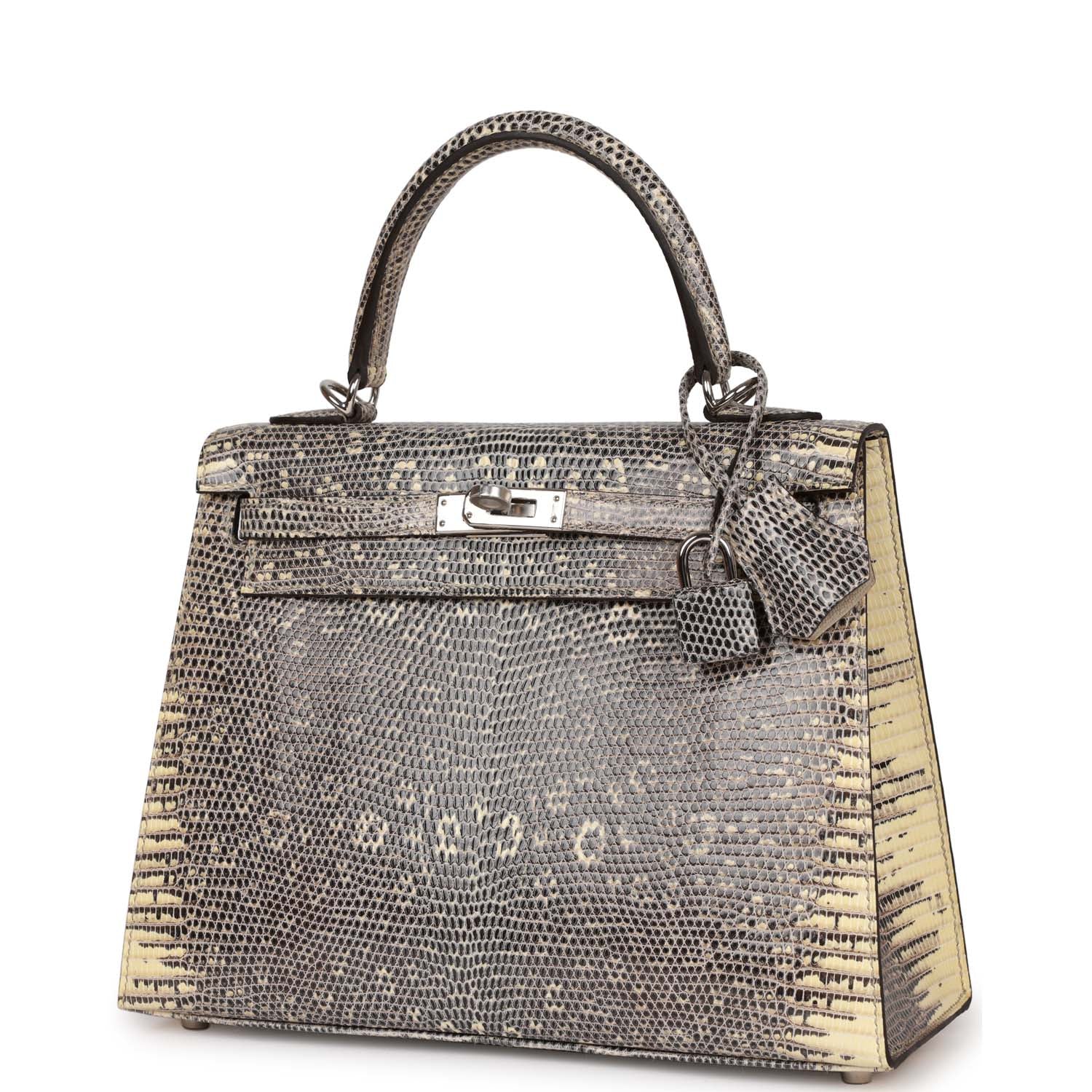 Hermes Kelly Sellier 25 Ombre Varanus Salvator Lizard Palladium Hardware - Image 4