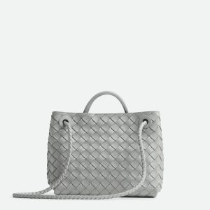 Bottega Veneta Small Andiamo