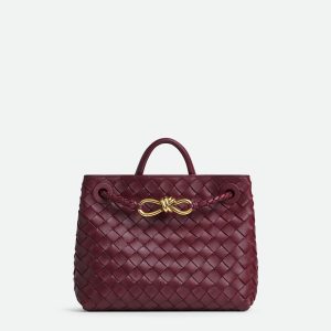Bottega Veneta Small Andiamo
