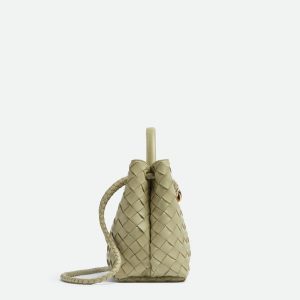 Bottega Veneta Small Andiamo