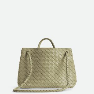 Bottega Veneta Medium Andiamo