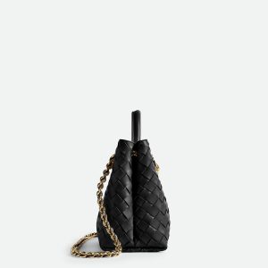 Bottega Veneta Small Andiamo With Chain