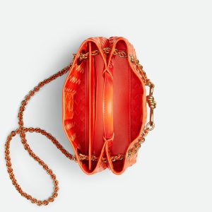 Bottega Veneta Small Andiamo With Chain