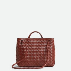 Bottega Veneta Small Andiamo