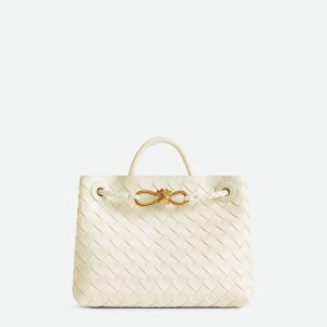 Bottega Veneta Small Andiamo