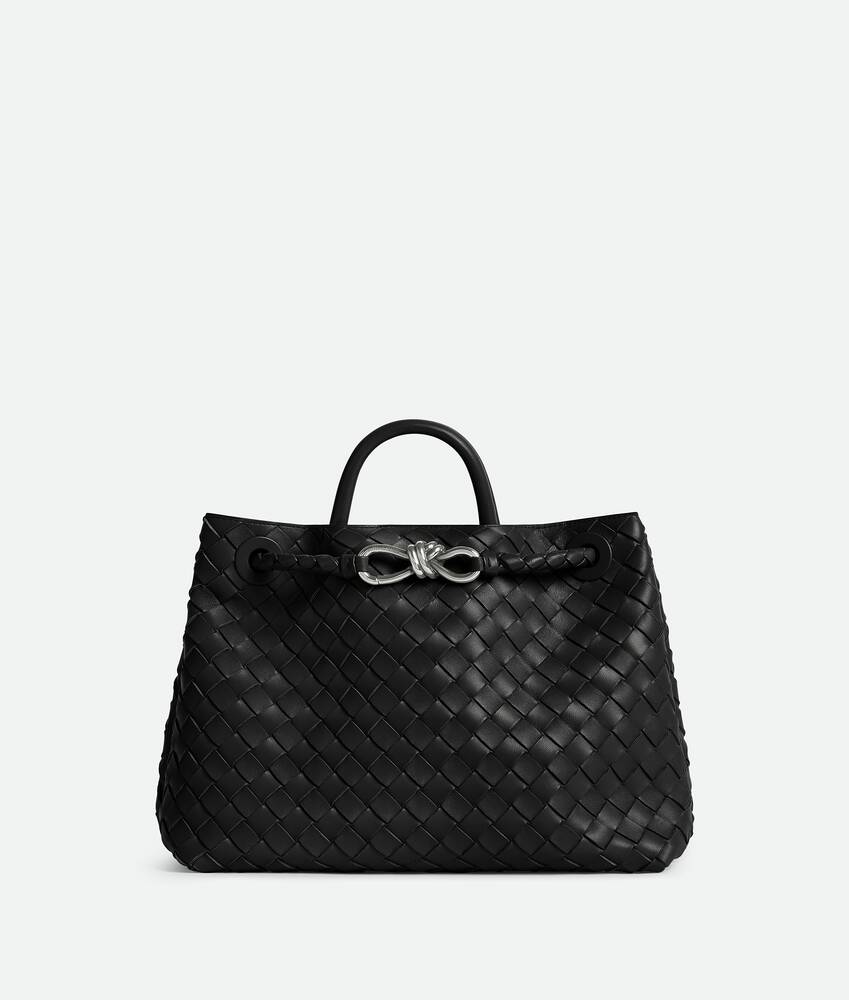 Bottega Veneta Medium Andiamo - Image 3