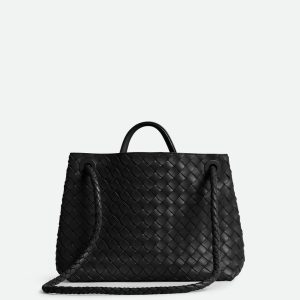 Bottega Veneta Medium Andiamo