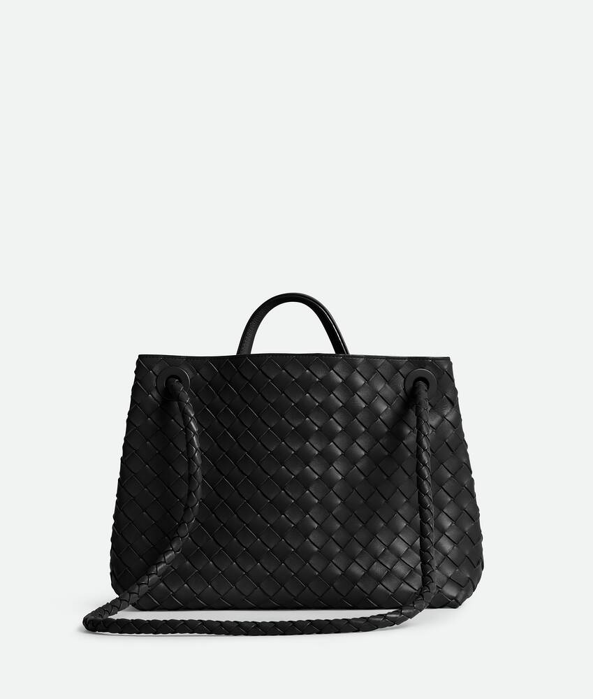 Bottega Veneta Medium Andiamo