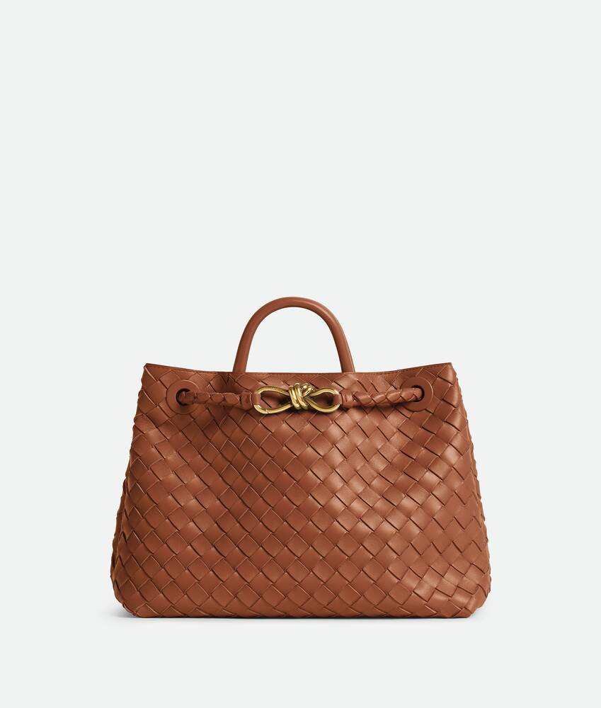 Bottega Veneta Medium Andiamo - Image 3