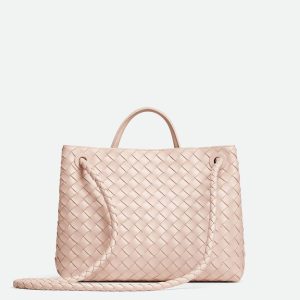 Bottega Veneta Medium Andiamo