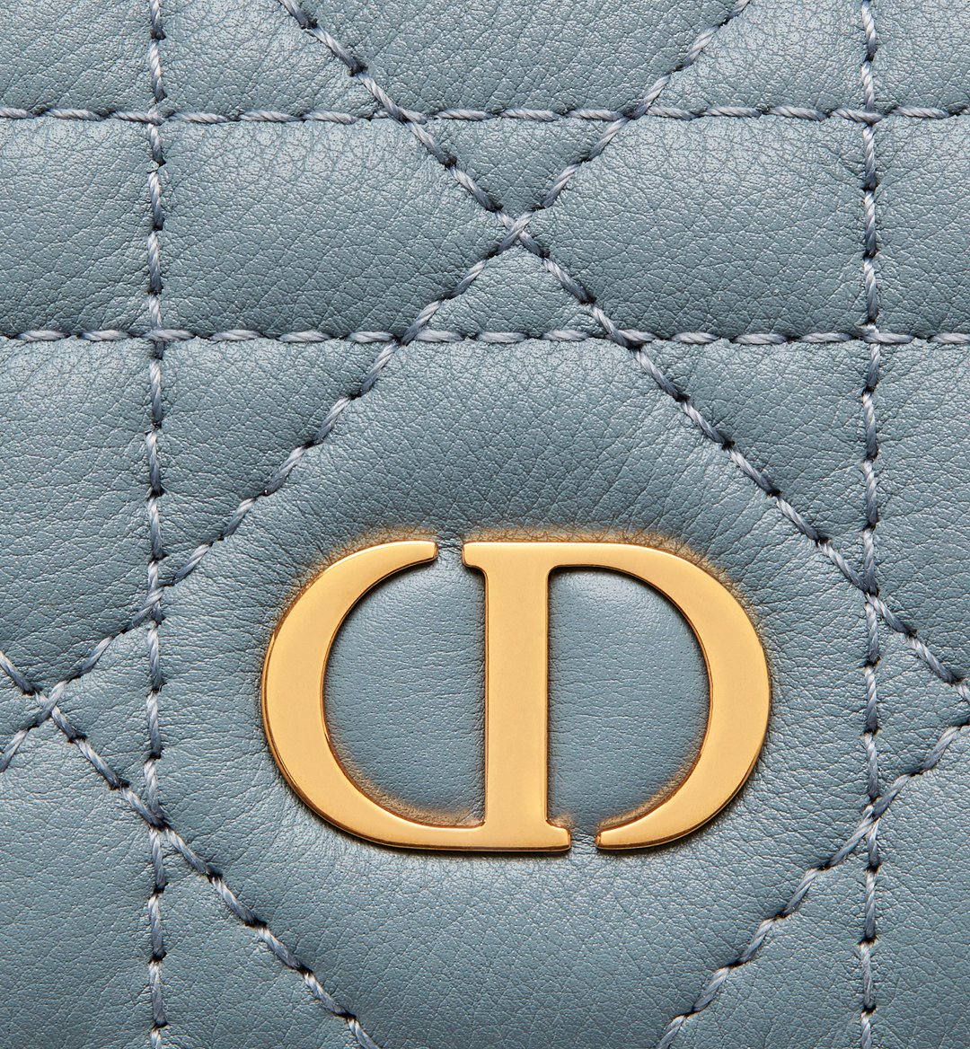 Dior Caro Glycine Wallet